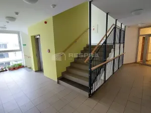 Pronájem bytu 2+kk, Praha - Hostivař, Rižská, 57 m2