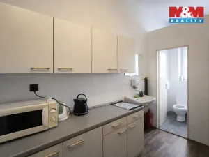 Pronájem kanceláře, Ostrava - Moravská Ostrava, 28. října, 66 m2