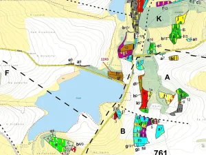 Dražba lesa, Nezdřev, 2662 m2