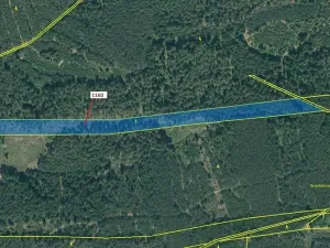 Dražba lesa, Jesenice, 12984 m2