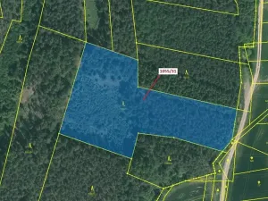 Dražba lesa, Milavče, 9168 m2