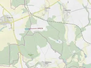 Dražba lesa, Stehlovice, 11078 m2