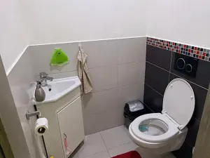 Prodej rodinného domu, Kroměříž, 234 m2