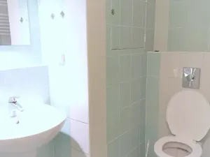 Pronájem bytu 1+kk, Brno, Lidická, 30 m2