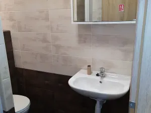 Pronájem bytu 1+kk, Brno, Markéty Kuncové, 30 m2