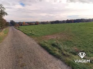 Prodej pole, Nasavrky, 28806 m2