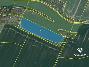 Prodej pole, Vysoká, 7413 m2