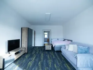 Prodej vícegeneračního domu, Vejprty, 900 m2