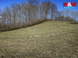 Prodej louky, Janův Důl, 2749 m2