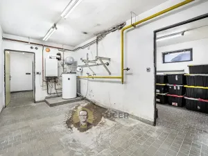 Prodej rodinného domu, Neratovice, K. H. Máchy, 406 m2