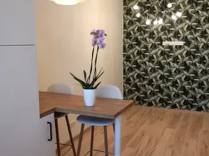 Pronájem bytu 2+kk, Jihlava, Třebízského, 42 m2