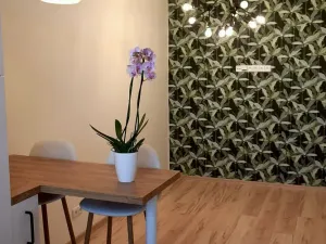 Pronájem bytu 2+kk, Jihlava, Třebízského, 42 m2