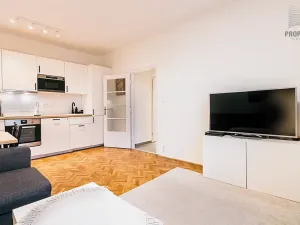 Pronájem bytu 2+kk, Brno, Purkyňova, 42 m2