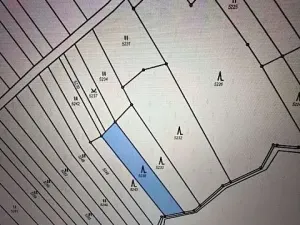 Prodej lesa, Březolupy, 628 m2