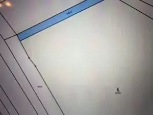 Prodej lesa, Březolupy, 910 m2