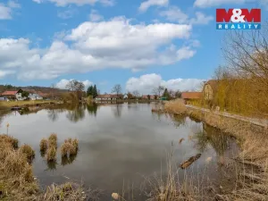 Prodej pozemku pro bydlení, Brloh, 2315 m2