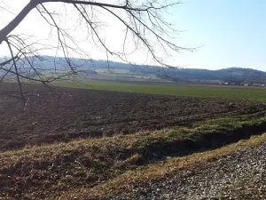 Prodej pozemku pro bydlení, Libina, 1382 m2