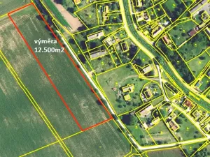 Prodej pozemku pro bydlení, Libina, 12500 m2