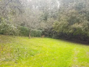 Prodej zahrady, Libina, 239 m2