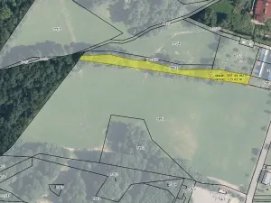 Prodej pozemku pro bydlení, Loučná nad Desnou, 36840 m2