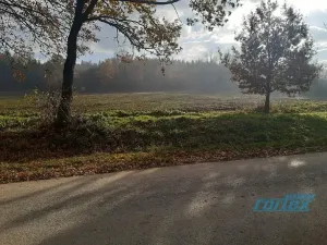 Prodej pozemku pro bydlení, Klatovy, 16834 m2