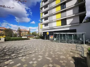 Pronájem bytu 1+kk, Praha - Malešice, Nad úžlabinou, 24 m2