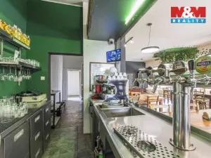 Prodej restaurace, Slezské Rudoltice, 360 m2