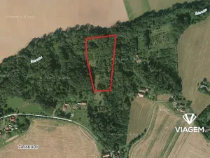 Prodej podílu lesa, Sobotka, 2241 m2