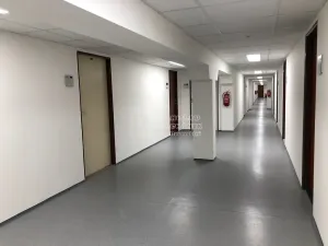 Pronájem kanceláře, Praha - Karlín, Thámova, 23 m2