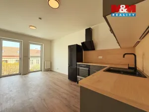 Pronájem bytu 1+kk, Brno - Husovice, Svitavská, 27 m2