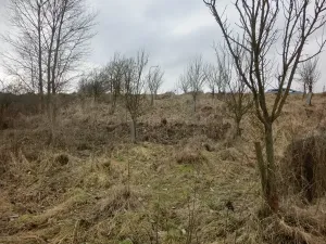 Prodej zahrady, Kunovice, 878 m2