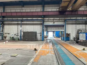 Pronájem výrobních prostor, Benešov, Černoleská, 620 m2