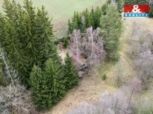 Prodej chaty, Bory - Dolní Bory, 49 m2