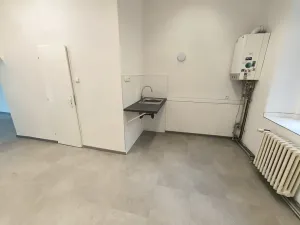 Pronájem obchodního prostoru, Ústí nad Labem, Masarykova, 40 m2