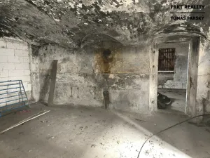 Prodej vícegeneračního domu, Děčín, Litoměřická, 250 m2