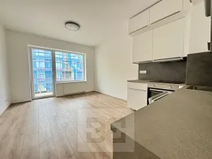 Pronájem bytu 1+kk, Brno, Spolková, 35 m2