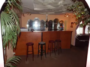 Prodej vícegeneračního domu, Kraslice, 400 m2