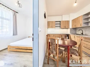 Prodej bytu 2+1, Svoboda nad Úpou, Nový svět, 38 m2