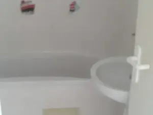 Dražba bytu 3+1, Milovice, Lesní, 113 m2