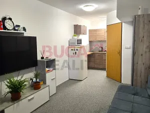 Prodej bytu 1+kk, České Budějovice, Fr. Ondříčka, 36 m2