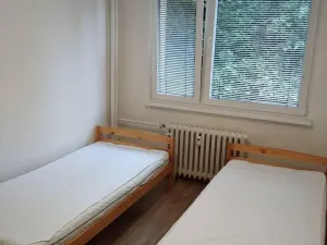 Pronájem bytu 3+1, Pardubice, Bělehradská, 60 m2