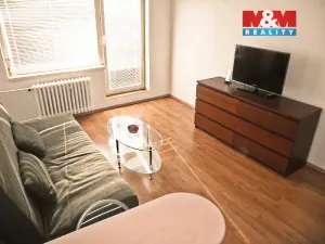 Pronájem bytu 1+kk, Ostrava - Moravská Ostrava, 30. dubna, 28 m2