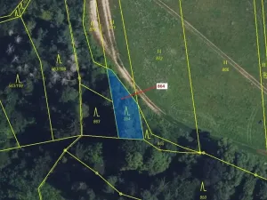 Dražba lesa, Spešov, 297 m2