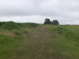 Dražba pozemku, Jablonné v Podještědí, 4685 m2