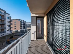 Pronájem bytu 2+kk, Hradec Králové - Nový Hradec Králové, Antonína Petrofa, 50 m2