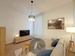 Pronájem bytu 2+kk, Brno, Leitnerova, 60 m2