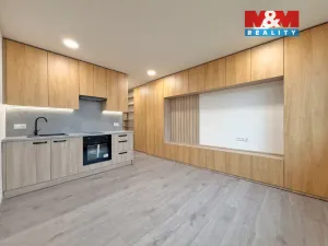 Prodej bytu 1+kk, České Budějovice - České Budějovice 3, Plzeňská, 21 m2