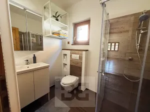 Pronájem rodinného domu, Vranov, 168 m2