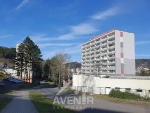 Prodej bytu 3+1, Železný Brod, Na Vápence, 73 m2