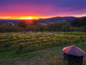 Prodej zemědělské usedlosti, Lhenice, 300 m2